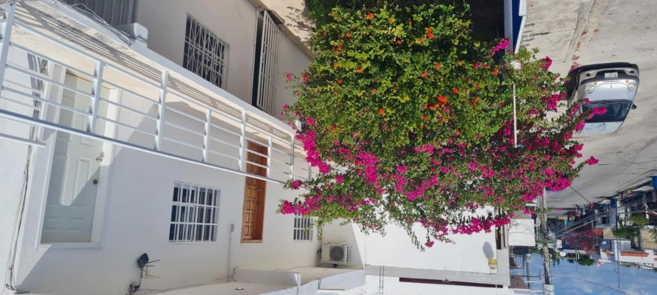 Casa Nuria Apartment Playa del Carmen Bagian luar foto